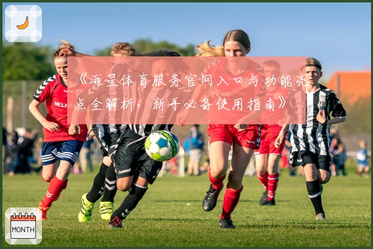 《海星体育服务官网入口与功能亮点全解析,新手必备使用指南》