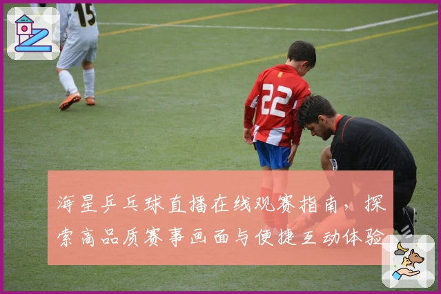 海星乒乓球直播在线观赛指南，探索高品质赛事画面与便捷互动体验