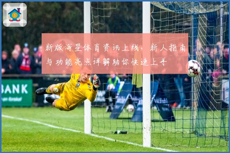新版海星体育资讯上线，新人指南与功能亮点详解助你快速上手
