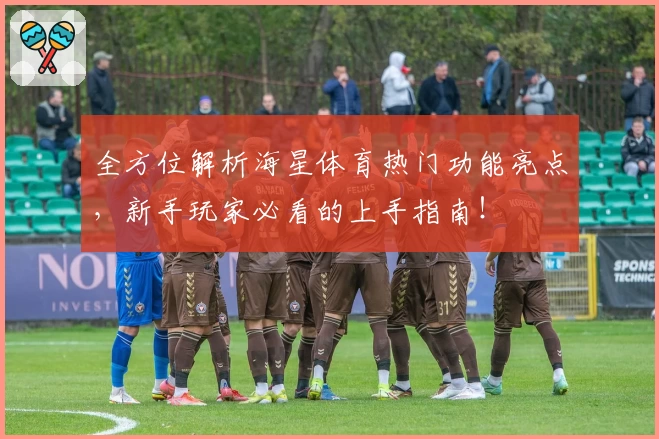 全方位解析海星体育热门功能亮点,新手玩家必看的上手指南!