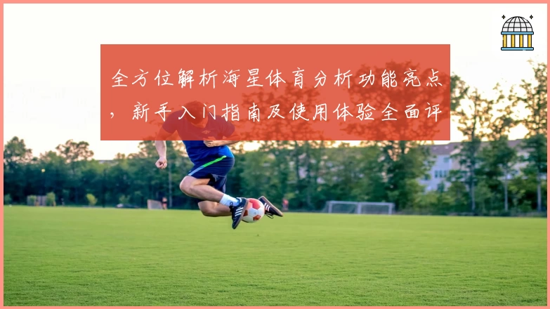 全方位解析海星体育分析功能亮点,新手入门指南及使用体验全面评测