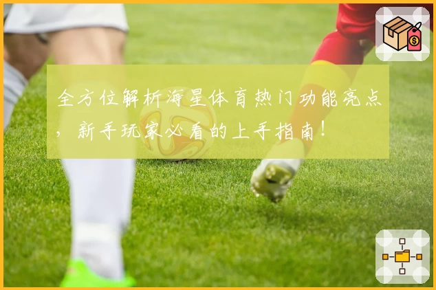 全方位解析海星体育热门功能亮点，新手玩家必看的上手指南！